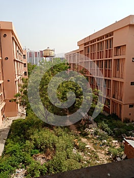 INDIAN MEDICAL COLLAGE Greenery of trees