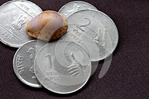 Indian money for business and donation - metal coins