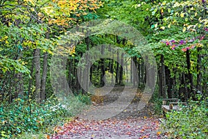 Indian Mounds Trail, High Cliff State Park