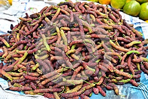 Indian Mulberry