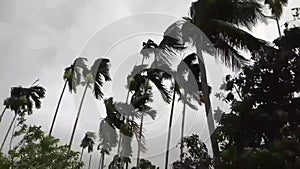 Indian natural Bad Weather Cyclone