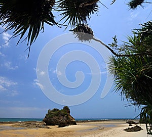 Indian Ocean Beach in Tanzania