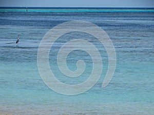 Indian ocean blue water background, Maldives
