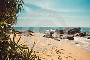 Indian Ocean Coast with stones and pandanus trees. Tropical vacation, holiday background. Deserted with footprints beach. Paradise