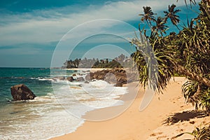 Indian Ocean Coast with stones and pandanus trees. Tropical vacation, holiday background. Wild deserted untouched beach. Paradise