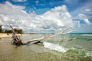 Indian ocean coastline and beaches of Mozambique