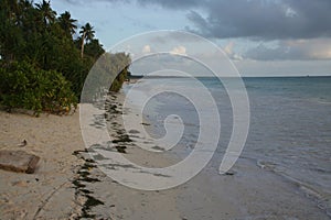 Indian Ocean at low tide