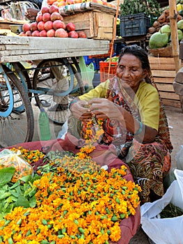 Indian Old Lady Sells Flower