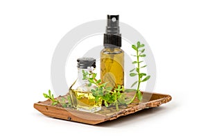 Indian pennywort, brahmi or Bacopa monnieri,branch flower, green leaves and extracted in the the bottle isolated on  white