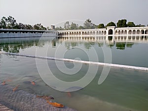 Fish house and pond park