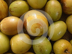 Indian plum