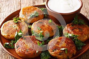 Indian potato patties Aloo Tikki served with yogurt close up in a dish. horizontal photo