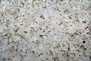 Indian Rice blurred background