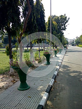 Indian road with beautiful trees and flowers