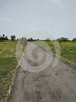 Indian rural area roadway in chhattisgarh govt