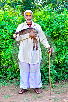 Indian Rural Man Holding Baby Sheep In His Hands Traditional Dress