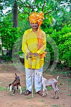 Indian Rural Man Holding Baby Sheep In His Hands Traditional Dress