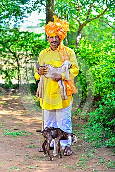 Indian Rural Man Holding Baby Sheep In His Hands Traditional Dress