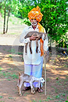 Indian Rural Man Holding Baby Sheep In His Hands Traditional Dress