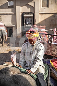 Indian's mahout on elephant at Amber Palace, Rajasthan, India
