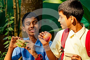 Indian school boy eating sandwich and his friend with backpack sits on table and eating an apple in park