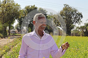 An Indian senior farmer man standing in a mustard field watching the mustard crop