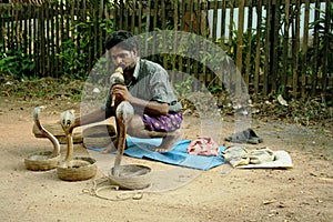 Indian snake charmer