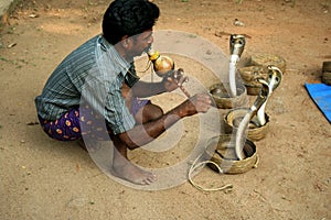 Indian snake charmer