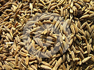 Indian Spice - Cumin Seeds