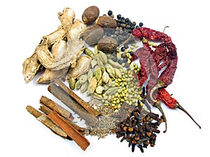 Indian Spices