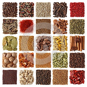 Indian spices collection