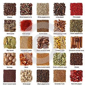 Indian spices collection