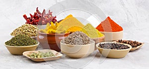 Indian Spices Collection on Vintage Background