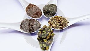 indian spices cumin seed, carom seeds, fennel seed and coriander seeds in spoon isolated on white background