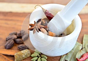 Indian spices-in mortar pestle photo