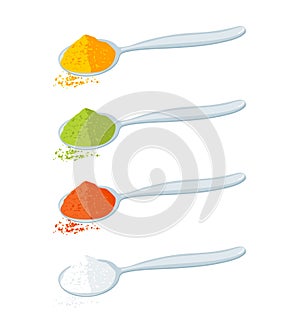Indian Spices Powder in Spoon