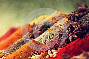 Indian spices watercolor illustration
