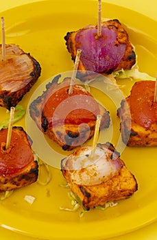 Indian Starter Dish Paneer Tikka Kabab or Barbecue Paneer Tikka Kabab