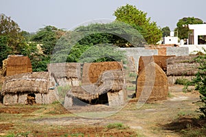 Indian straw and clay shacks for storage of dry cow manure