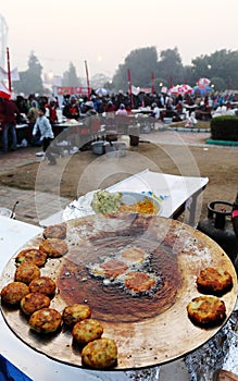 Indian street Food Festival, New Delhi