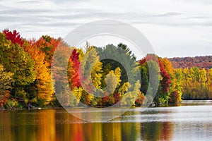 Indian summer foliage by a lake in Quebec, Canada