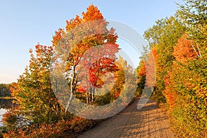 Indian summer at a lake in Algonquin Provincial Park near Toronto in autumn, Canada