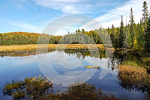 Indian summer at a lake in Algonquin Provincial Park near Toronto in autumn, Canada