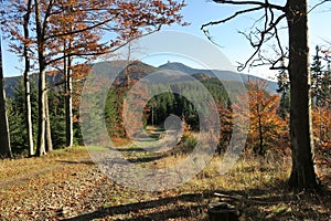 Indian summer in the woods with summit of Lasa hora in Beskydy mountains photo