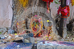 Indian tradition or worshipping banyan tree, Brihadeeswarar Temple, Thanjavur, Tamil Nadu