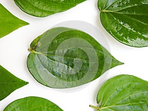 Indian traditional chewing for digestion of betel leaves and betelnut  on white background