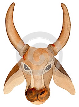 Indian Traditional Cow. Clipart. Watercolor hand drawn art illustration on white background.