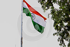 Indian Tricolor Flag Waving In the Sky