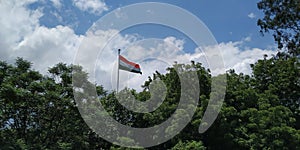 Indian tricolor flag with trees