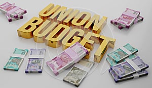 Indian Union Budget Concept with INR Rupee Notes - 3D Illustration photo